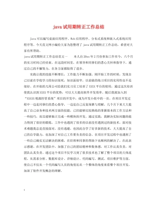 java试用期转正工作总结