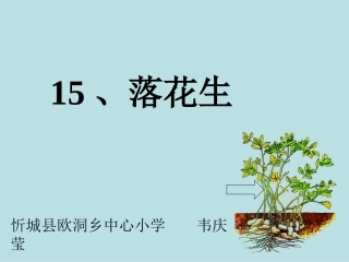 落花生五（2）班