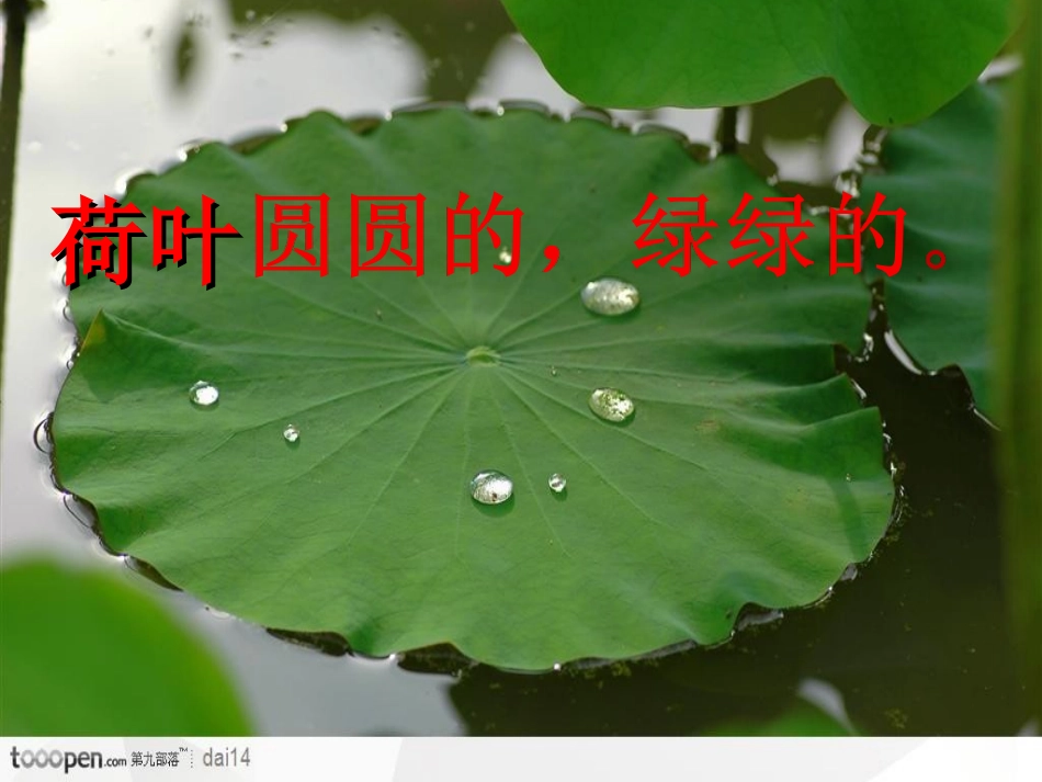 荷叶圆圆公开课2_第3页
