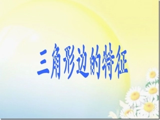 三角形的边特征