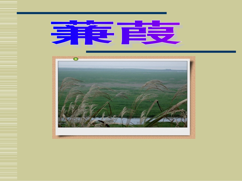 《蒹葭》优质课件_第1页