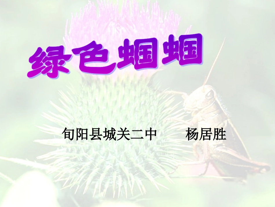 语文：第18课《绿色蝈蝈》课件（人教新课标七年级上）_第1页