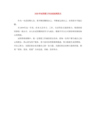 2020年试用期工作总结结尾范文 