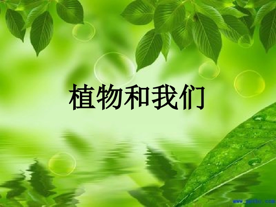 《植物和我们》_第1页