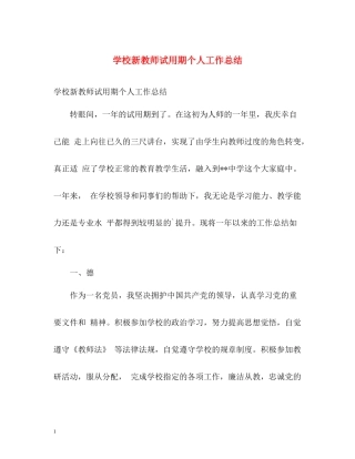 学校新教师试用期个人工作总结