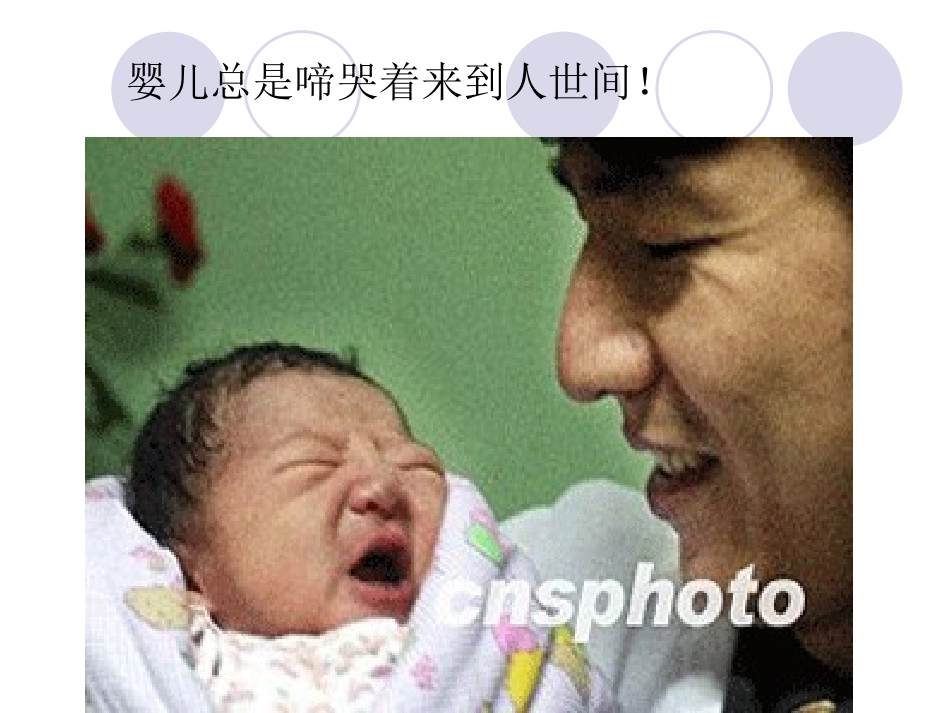 第三章第一节呼吸道对空气的处理_第2页