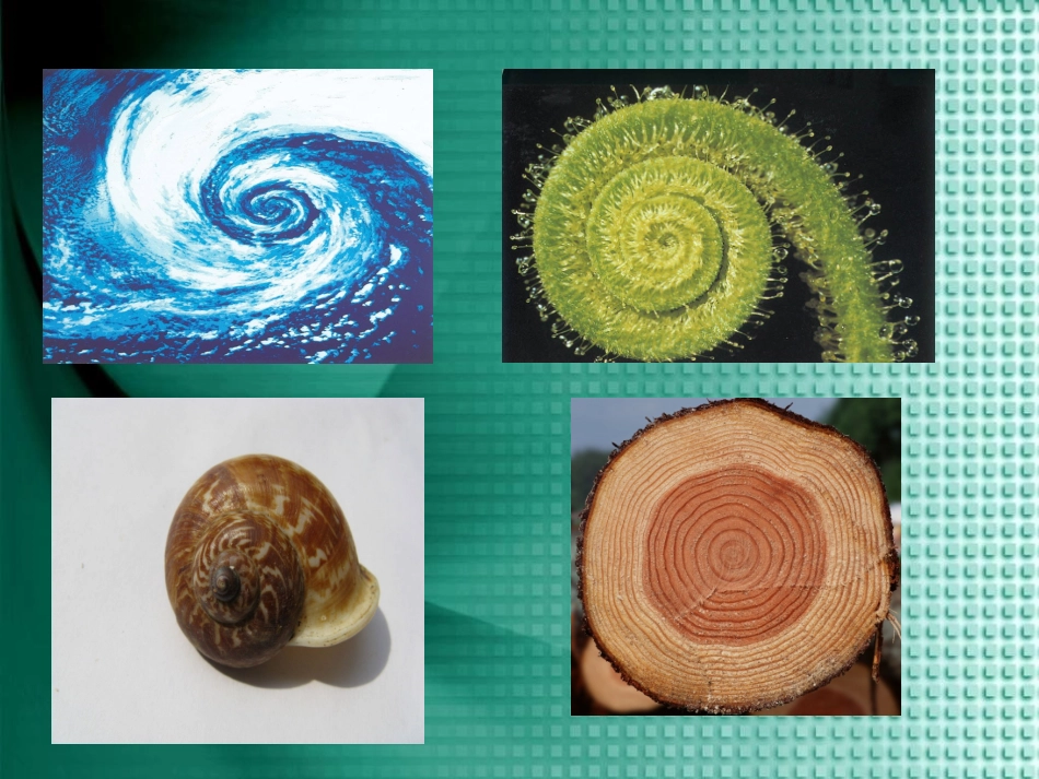 生活设计灵感PPT_第2页