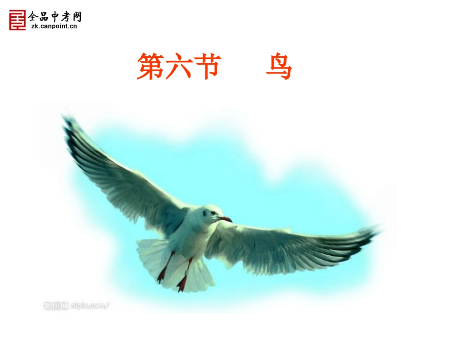 案例三PPT教学案例1_第1页