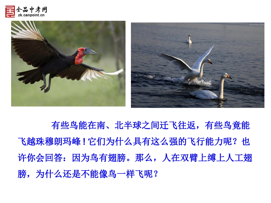 案例三PPT教学案例1_第2页
