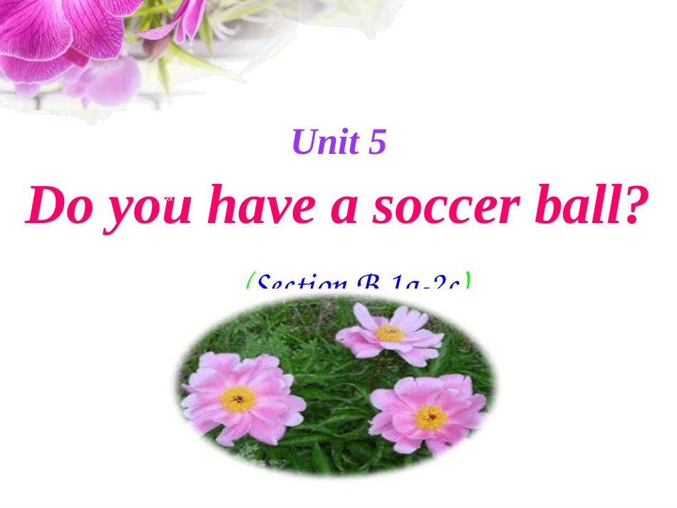 七上《Unit5Doyouhaveasoccerball》sectionB课件（共28张PPT）_第1页
