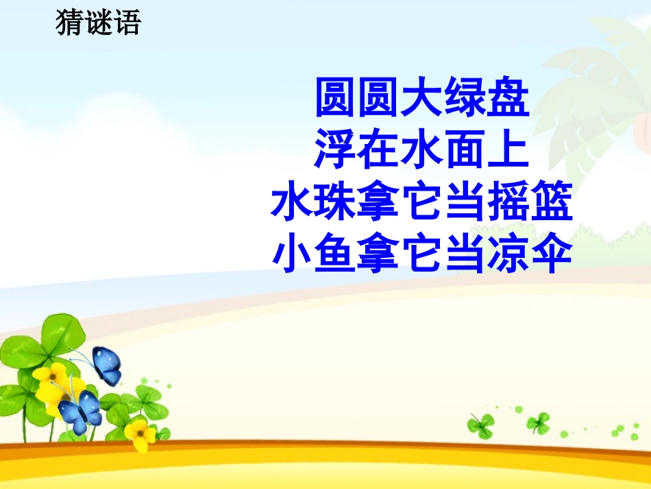 荷叶圆圆王霞_第2页