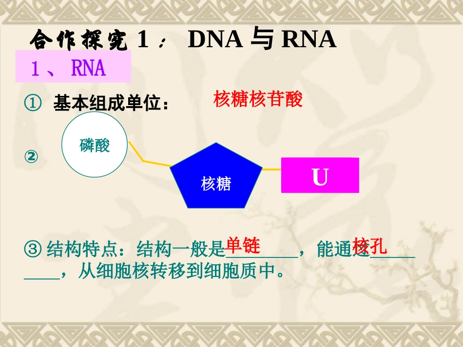 基因指导蛋白质的合成1_第2页