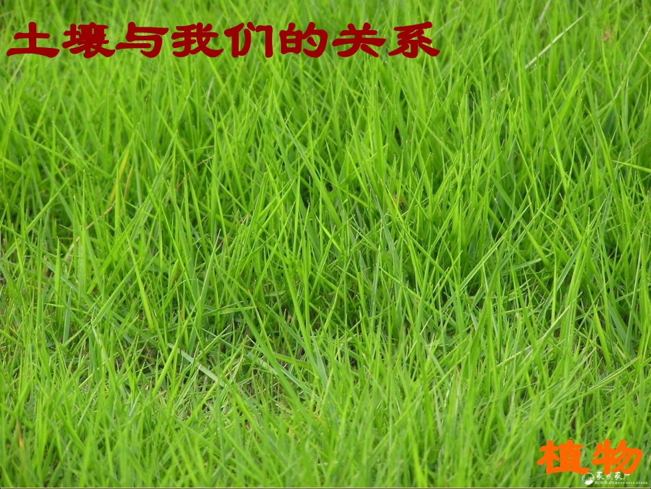 《土壤的保护》_第2页