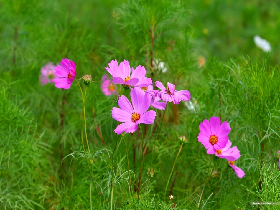 《土壤的保护》_第3页