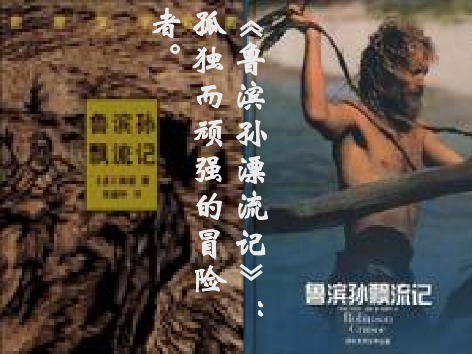 《荒岛余生》（笛福）（共24张PPT）_第2页