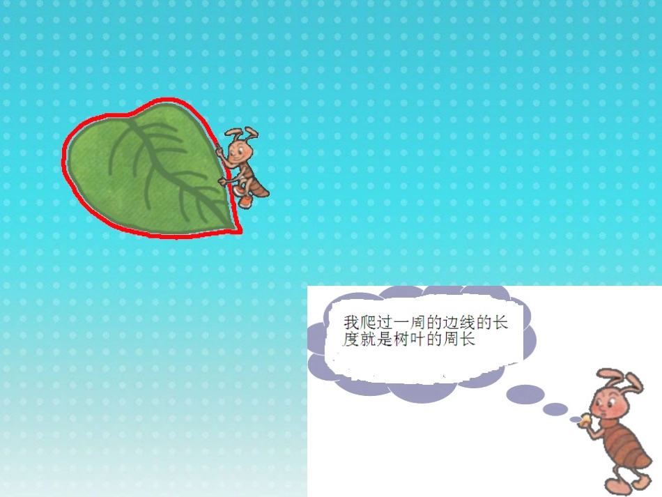 图形的周长_课件_第3页