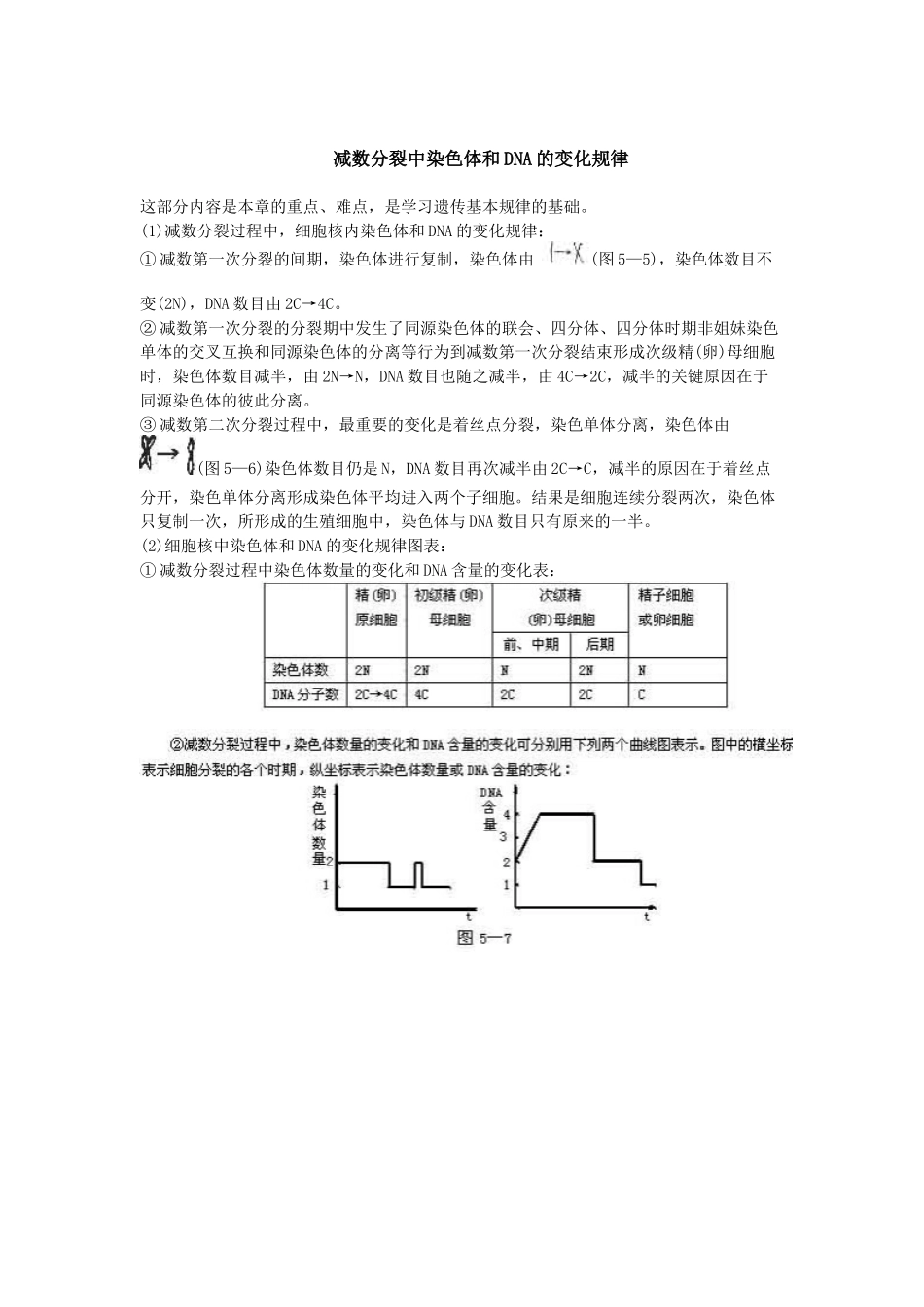 减数分裂中染色体和DNA的变化规律_第1页