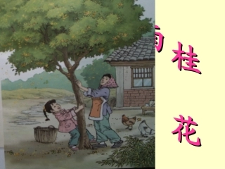 《桂花雨》----马俊红