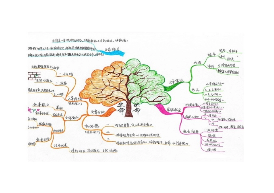 《生命生命》思维导图_第1页