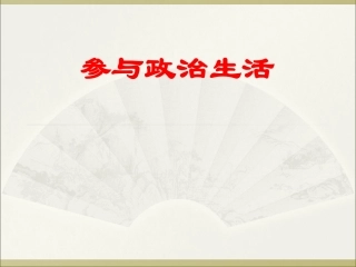 九年级思想品德复习参与政治生活专题
