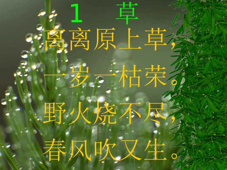 古诗—《草》PPT课件_第2页