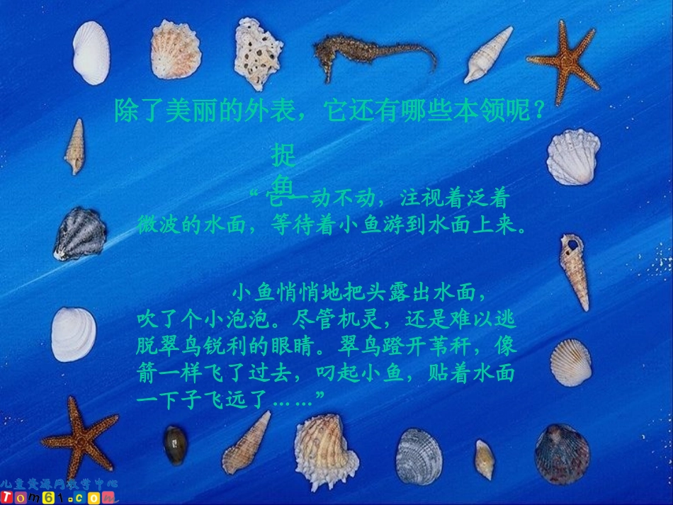 《翠鸟》课件1_第3页