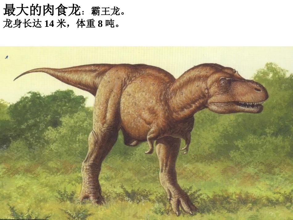 、恐龙的灭绝_第2页