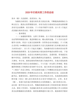 2020年行政问责工作的总结 