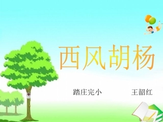 西风胡杨课件3