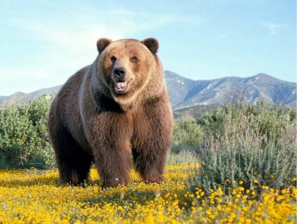 语言：春天的色彩_第2页