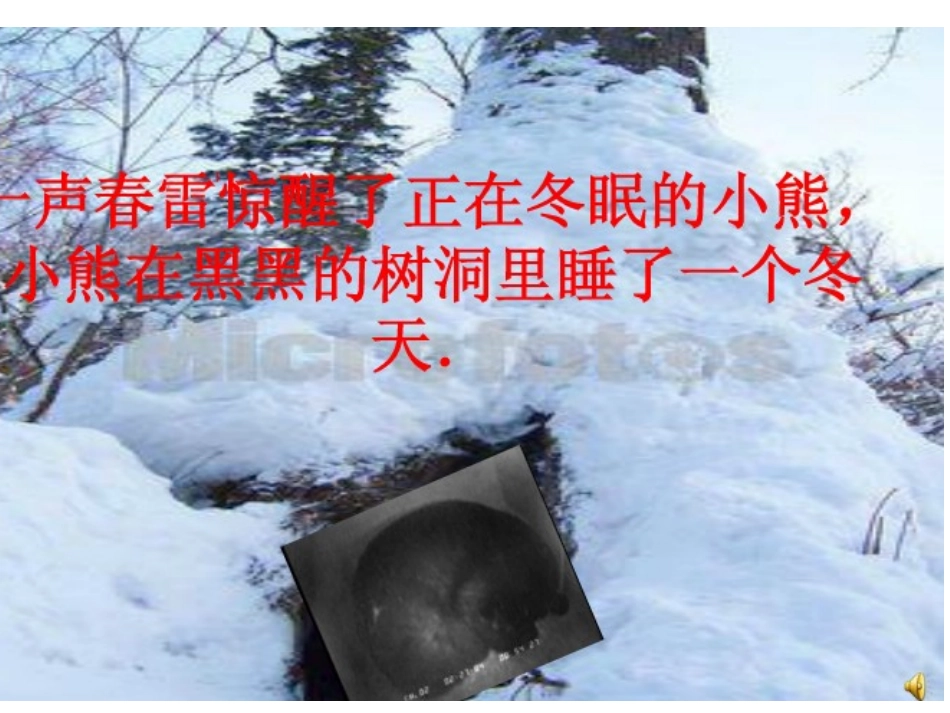 语言：春天的色彩_第3页