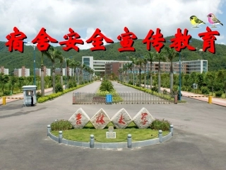 安全宣传教育-PPT课件