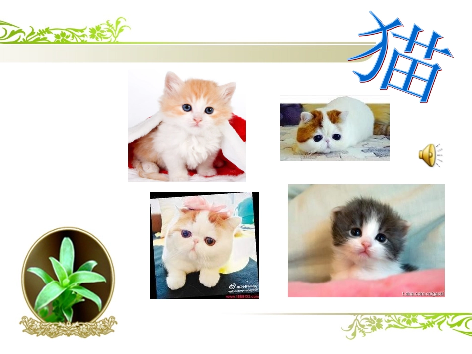 《蟋蟀的住宅》_第3页