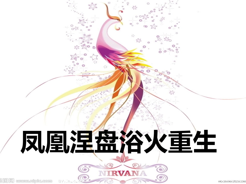 凤凰涅盘浴火重生_第3页