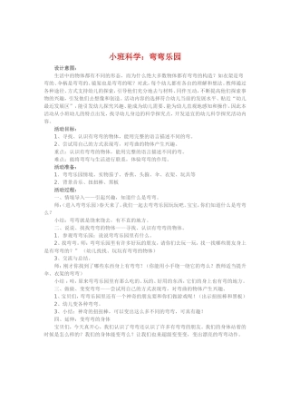 小班科学《弯弯乐园》