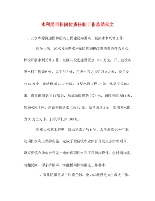 水利局目标岗位责任制工作总结范文