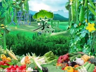 父亲的菜园课件