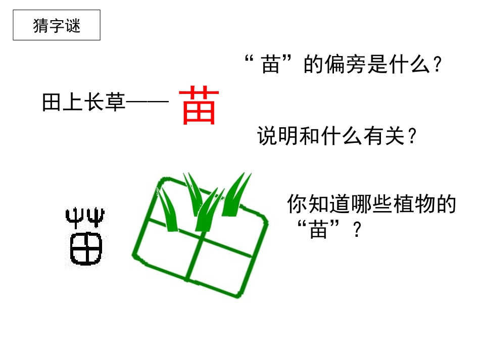 苏教版二上《识字4》_第1页