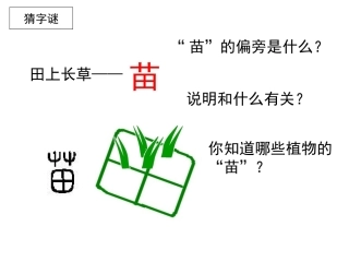 苏教版二上《识字4》