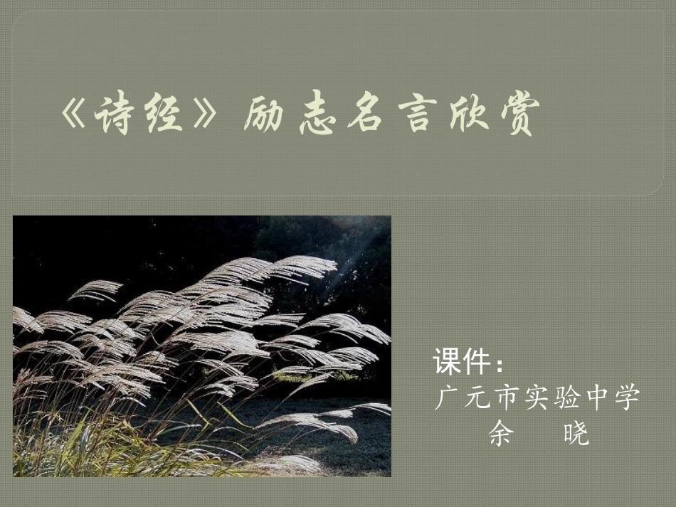 《诗经》励志名言欣赏_第1页