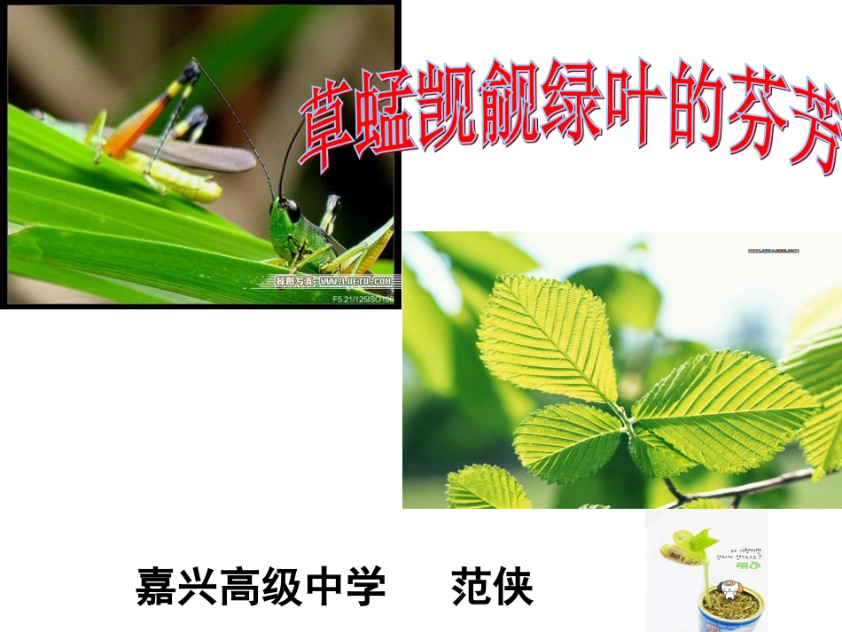 范侠细胞与能量_第1页