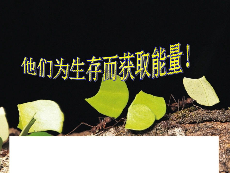范侠细胞与能量_第2页