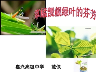 范侠细胞与能量