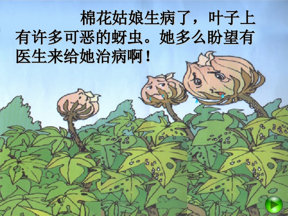 棉花姑娘备用_第3页