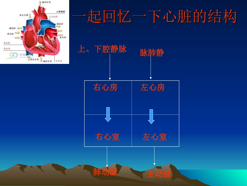 七年级生物《血液循环》课件_第3页