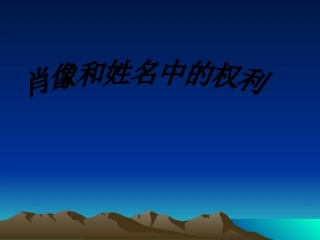 肖像和姓名中的权利 (2)