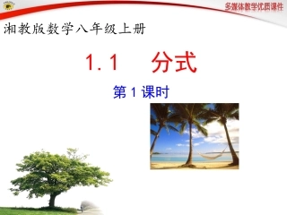 新湘教版八年级数学上册111分式(第1课时)