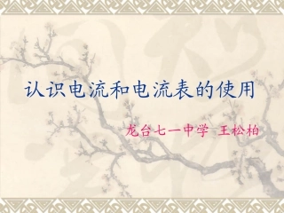 认识电流和电流表