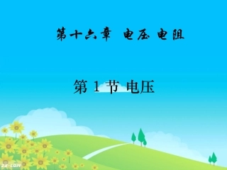 第1节电压 (2)