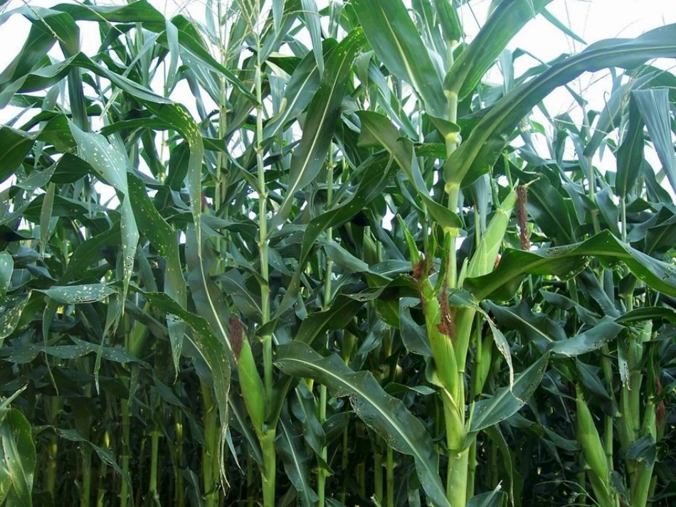 高一人教课标必修4warmingup_第3页